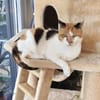 Trudi sucht mit Freigang