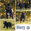 MACY -sucht erfahrene Menschen-