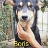 Boris 2 Jahre