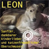 LEON - Herzensbrecher