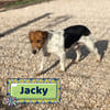 Jacky