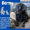 Bernysucht eine liebe Familie