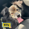 Billy