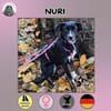 Nuri sucht ihr Zuhause