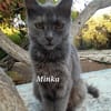 Mama Minka sucht Zuhause