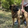 Abenteuer Bruno sucht seine Familie!