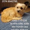 CHI CHI ganz liebes Mädchen