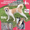 Vicky sucht ihr Für-Immer-Zuhause! 💖🐾