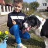 Ozzy, sanfter Riese sucht neues Zuhause