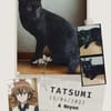 Tatsumi