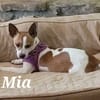 Mia