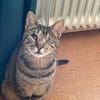 Zuhause gesucht für Nuri&Xena