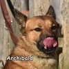 ARCHIBALD