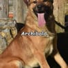 ARCHIBALD