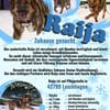 Die liebe 💕Raija 💕sucht ihre Menschen