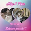 ABBY&PIXIE - Zwei Herzensbrecherinnen!