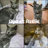 AYA et AZELIE  -  DOUBLE ADOPTION
