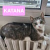 KATANA