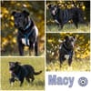 MACY -sucht erfahrene Menschen-