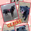 liebe Claire auf PS in 90473