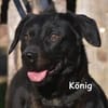 KÖNIG