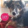 Lucy braucht ihre Menschen