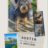 Austin