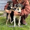 Tammy & Luna