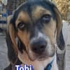 Tobi - neugierig und verspielt