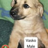 Vasko