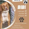 Die hübsche Bibi sucht ihren Menschen