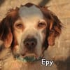 EPY