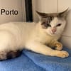 Porto