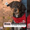 RICCO mit Herz und Charakter