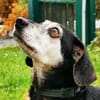 Bori, traumhaft liebe Seniorin