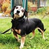Bori, traumhaft liebe Seniorin