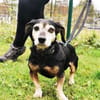 Bori, traumhaft liebe Seniorin