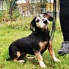 Bori, traumhaft liebe Seniorin