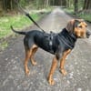 Brisa - Notfall -