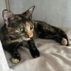 💕Isabell💕 sucht ihre Menschen
