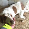 HELEN, lieb und sanft