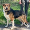 LEO sucht Familienanschluss