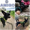 AMIGO -Bringt gute Laune mit-