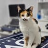 Alma & Sassy Traumpärchen sucht Paradies