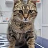 Alma & Sassy Traumpärchen sucht Paradies