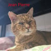 Jean pierre