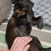Paula - sucht ihr ruhiges Glück!
