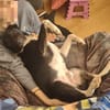 Ikem ein Special Hund sucht ein Zuhause