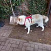 Mary Ann sucht 2 Chance