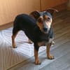 Kleine Nadia wurde ausgesetzt